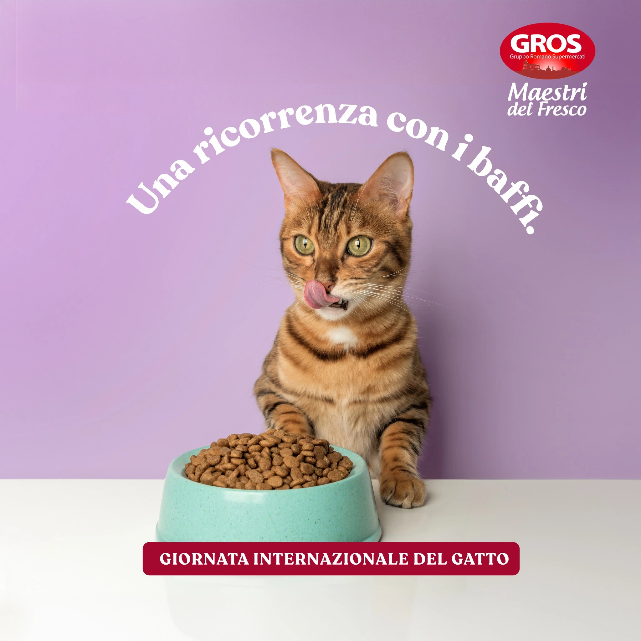 post social supermercati ce di gros gatto